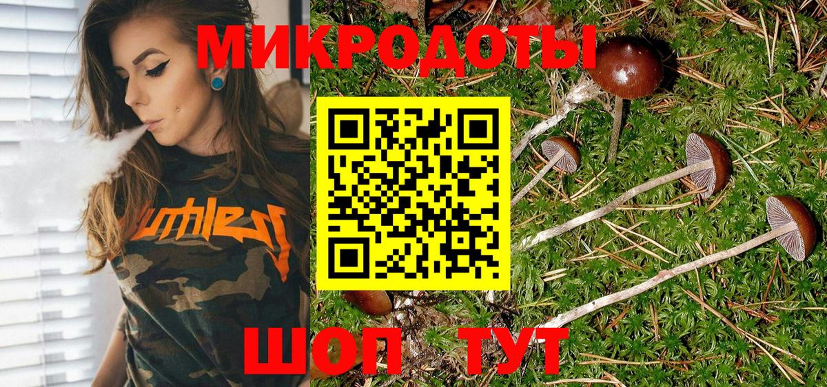 Галлюциногенные грибы ЛСД  Галлюциногенные грибы Psilocybe  Вход с VPN  Россошь 
